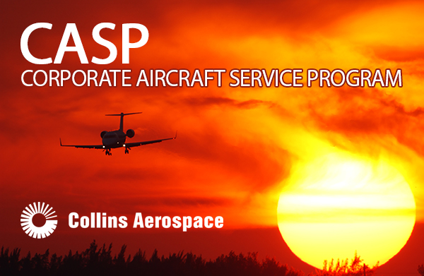 CASP Services Program