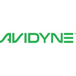 avidyne.jpg